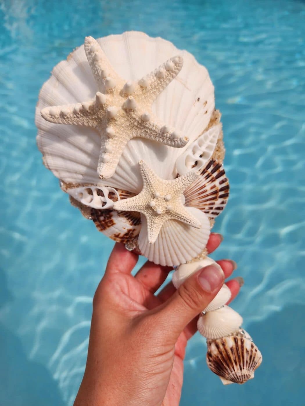 Espelho Reflexo do Oceano com estrelas-do-mar e conchas grandes, segurado sobre a água de uma piscina